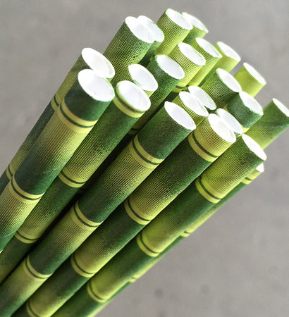 Eco Paper Straw - Regular Bamboo