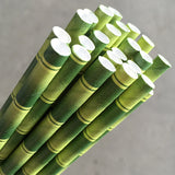Eco Paper Straw - Regular Bamboo