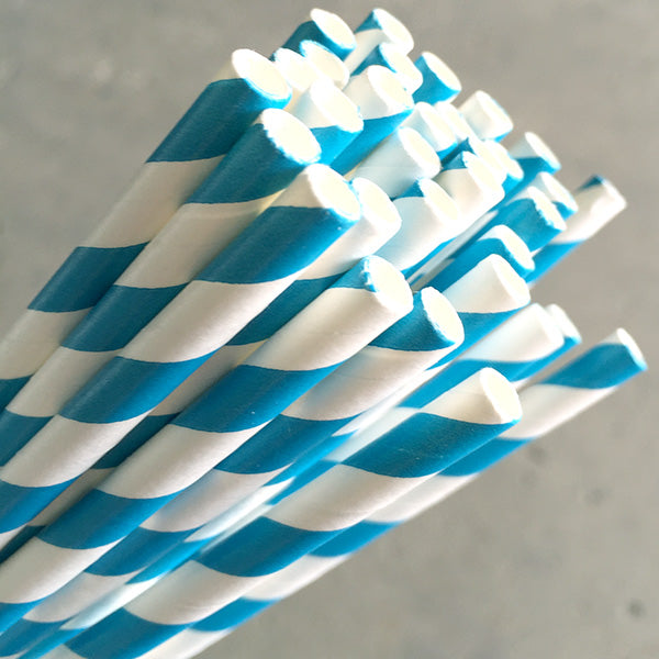 Eco Paper Straw - Regular Blue/White