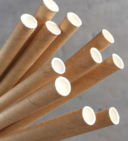 Eco Paper Straw - Regular Kraft
