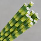 Eco Paper Straw - Jumbo Bamboo